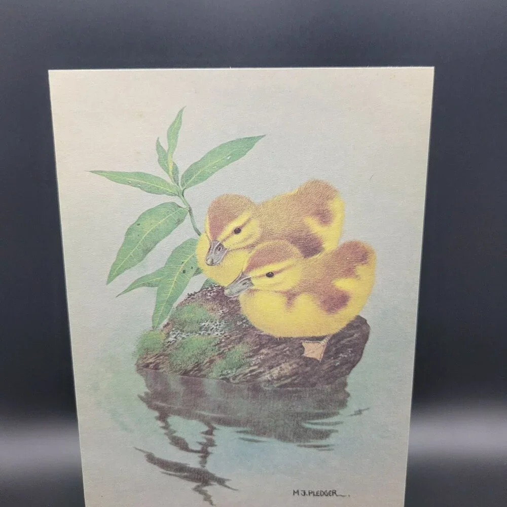 M.J. Pledger Greeting Card Ducklings in Pond Friendship‎ Unused
